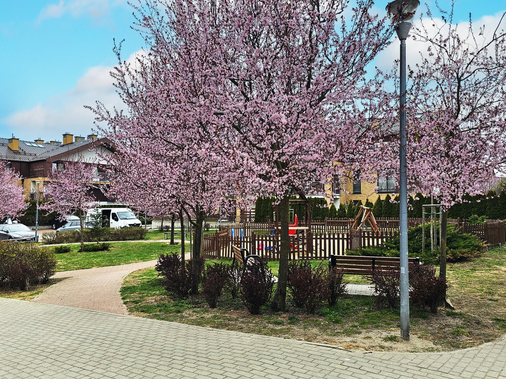 Mieszkanie Sprzedaż Szczecin Warszewo 13