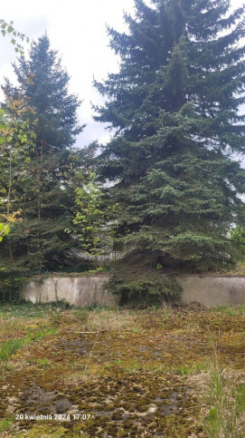 Działka Sprzedaż Recz Kolejowa 1