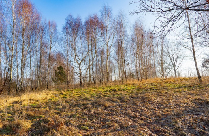 Działka Sprzedaż Ścienne 3