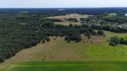 Działka Sprzedaż Ostrowiec