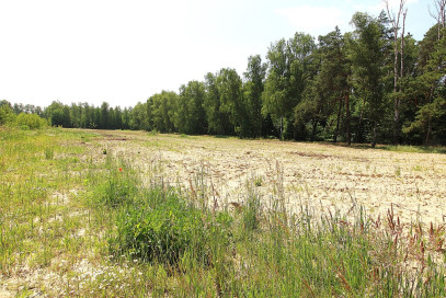 Działka Sprzedaż Grabowo