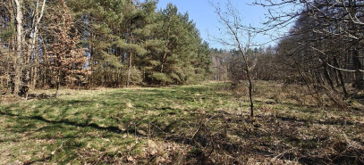 Działka Sprzedaż Nowogard