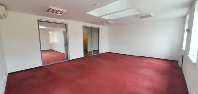 Lokal Wynajem Szczecin Centrum
