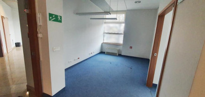 Lokal Wynajem Szczecin Śródmieście-Centrum