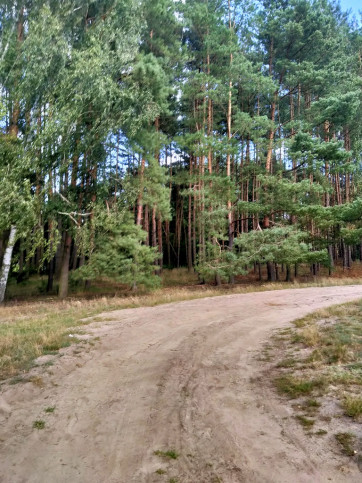 Działka Sprzedaż Tanowo Szczecińska 3