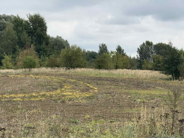 Działka Sprzedaż Stara Dąbrowa 4