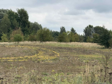 Działka Sprzedaż Stara Dąbrowa