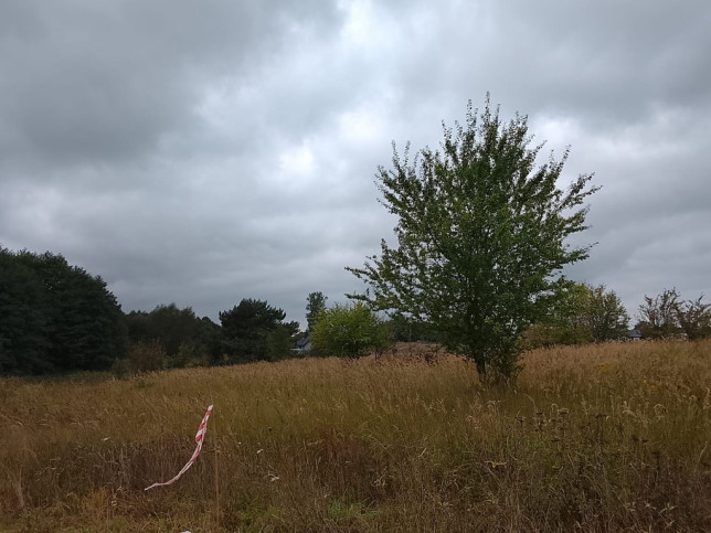 Działka Sprzedaż Stara Dąbrowa 20