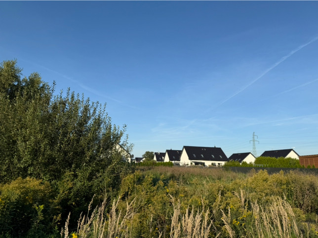 Działka Sprzedaż Załom 2
