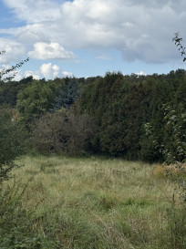 Działka Sprzedaż Szczecin Pilchowo