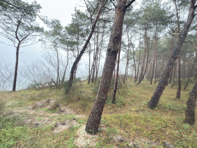 Mieszkanie Sprzedaż Międzywodzie Westerplatte 17