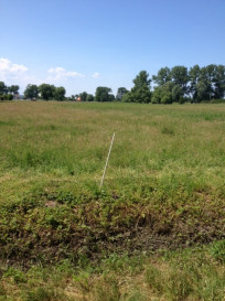 Działka Sprzedaż Lubczyna Kasztanowa