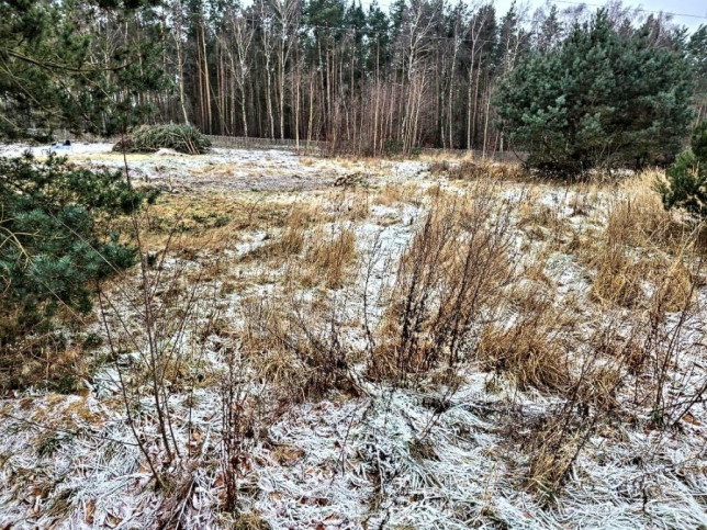 Działka Sprzedaż Dargobądz 2