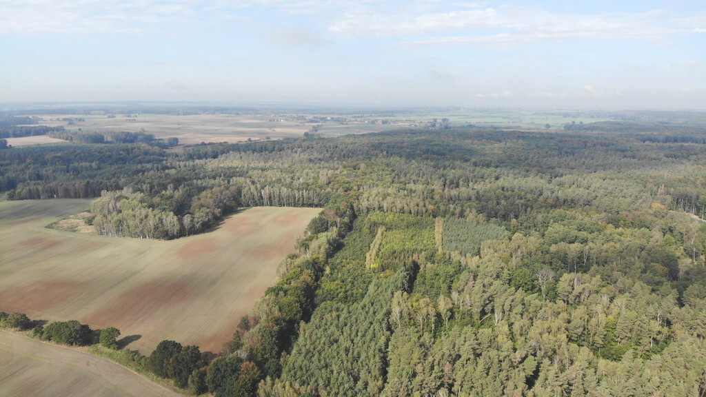 Działka Sprzedaż Rów
