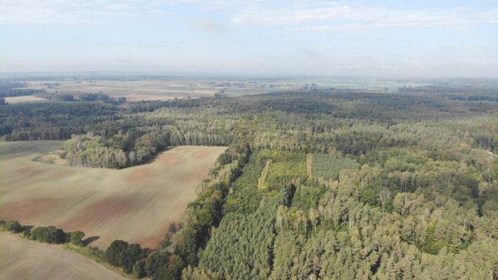 Działka Sprzedaż Rów 1