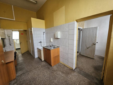 Lokal Wynajem Szczecin Centrum