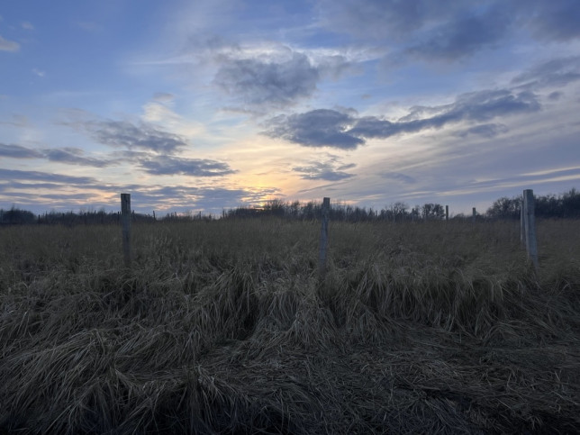 Działka Sprzedaż Szczecin Skolwin 3