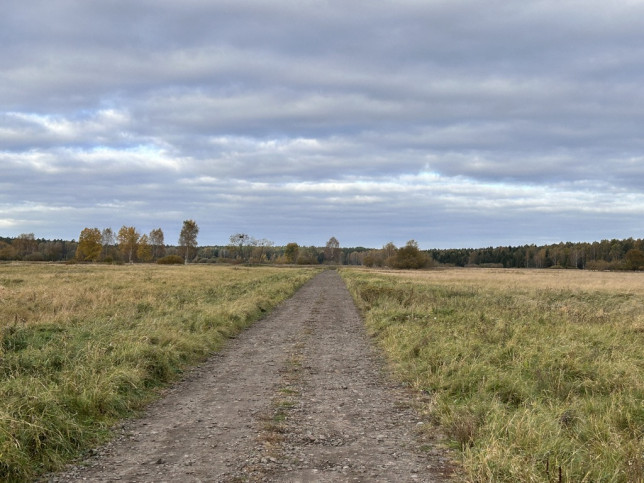 Działka Sprzedaż Niedźwiedź 1
