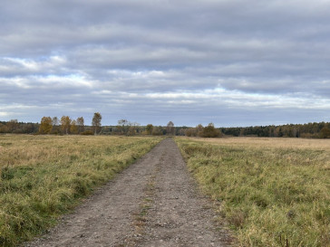 Działka Sprzedaż Niedźwiedź