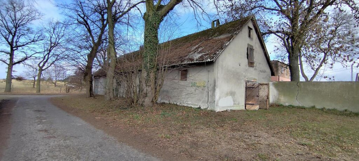Obiekt Sprzedaż Budno 4