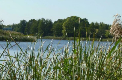 Działka Sprzedaż Zieleniewo