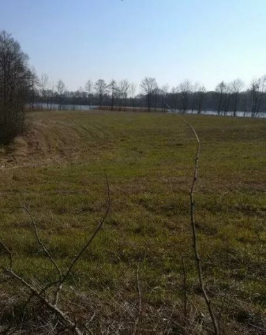Działka Sprzedaż Kaszewo 4