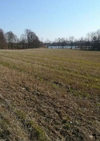 Działka Sprzedaż Kaszewo 3