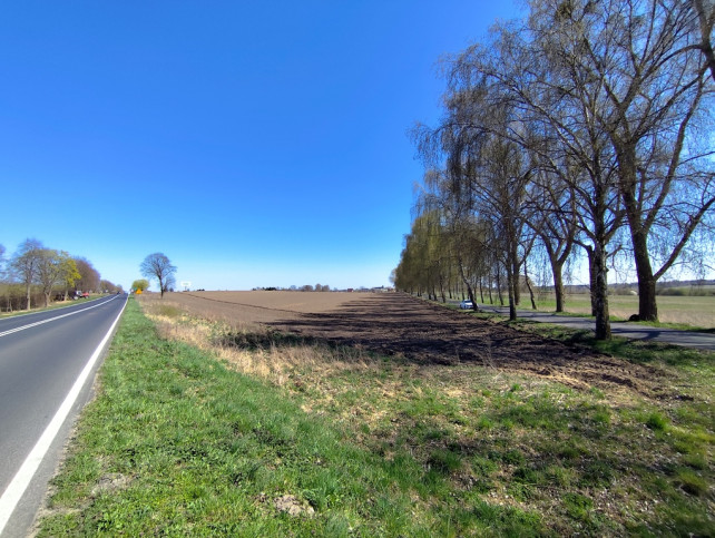 Działka Sprzedaż Wojcieszyn 4