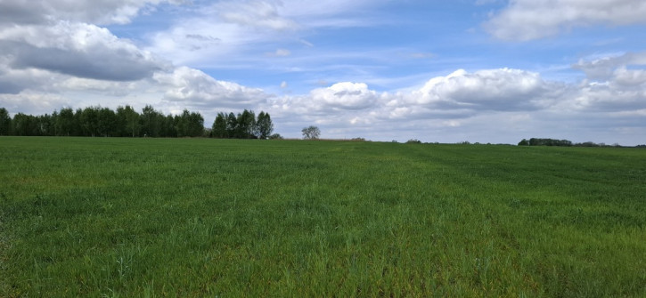 Działka Sprzedaż Bagna 2