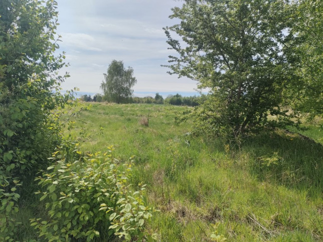 Działka Sprzedaż Lędzin 7