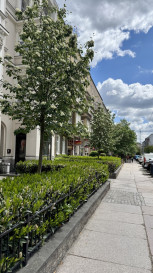 Mieszkanie Sprzedaż Szczecin Centrum Monte Cassino