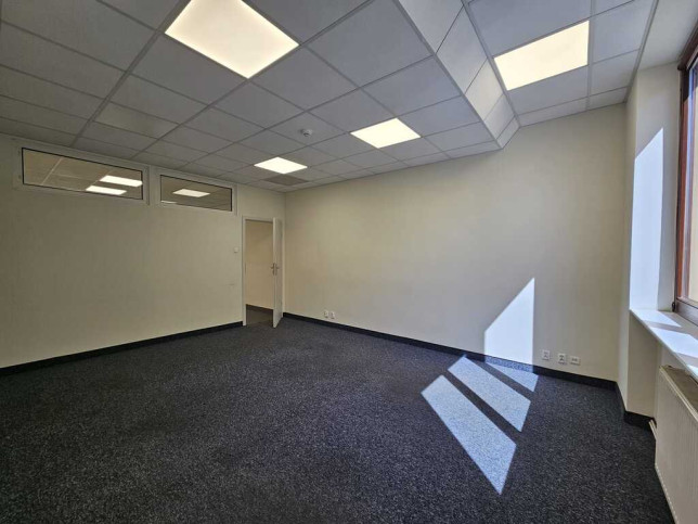 Lokal Wynajem Szczecin Centrum 7