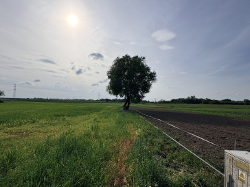 Działka Sprzedaż Przęsocin
