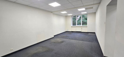 Lokal Wynajem Szczecin Śródmieście-Centrum