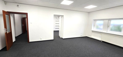 Lokal Wynajem Szczecin Śródmieście-Centrum