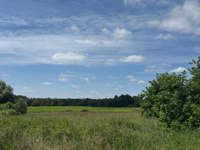 Działka Sprzedaż Krasnołęka 10