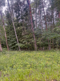 Działka Sprzedaż Piaseczno