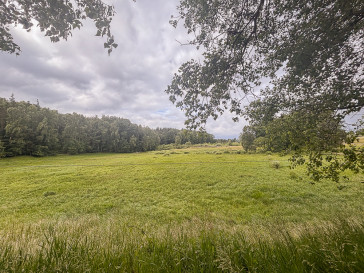 Działka Sprzedaż Piaseczno