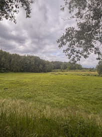 Działka Sprzedaż Piaseczno