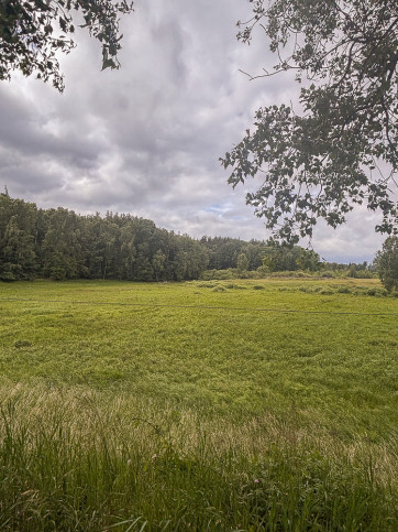 Działka Sprzedaż Piaseczno 9
