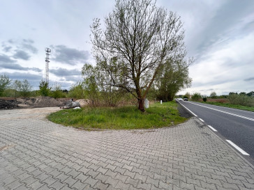 Działka Sprzedaż Szczecin Dąbie Lubczyńska