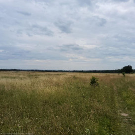 Działka Sprzedaż Buk