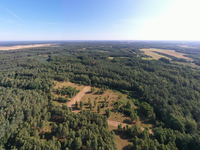 Działka Sprzedaż Osina 1