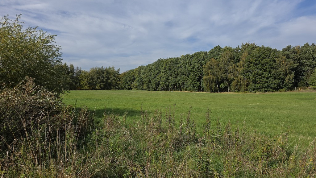 Działka Sprzedaż Przęsocin 2