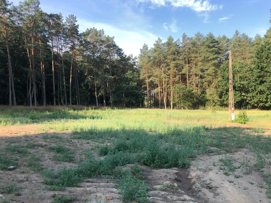 Działka Sprzedaż Trzebież