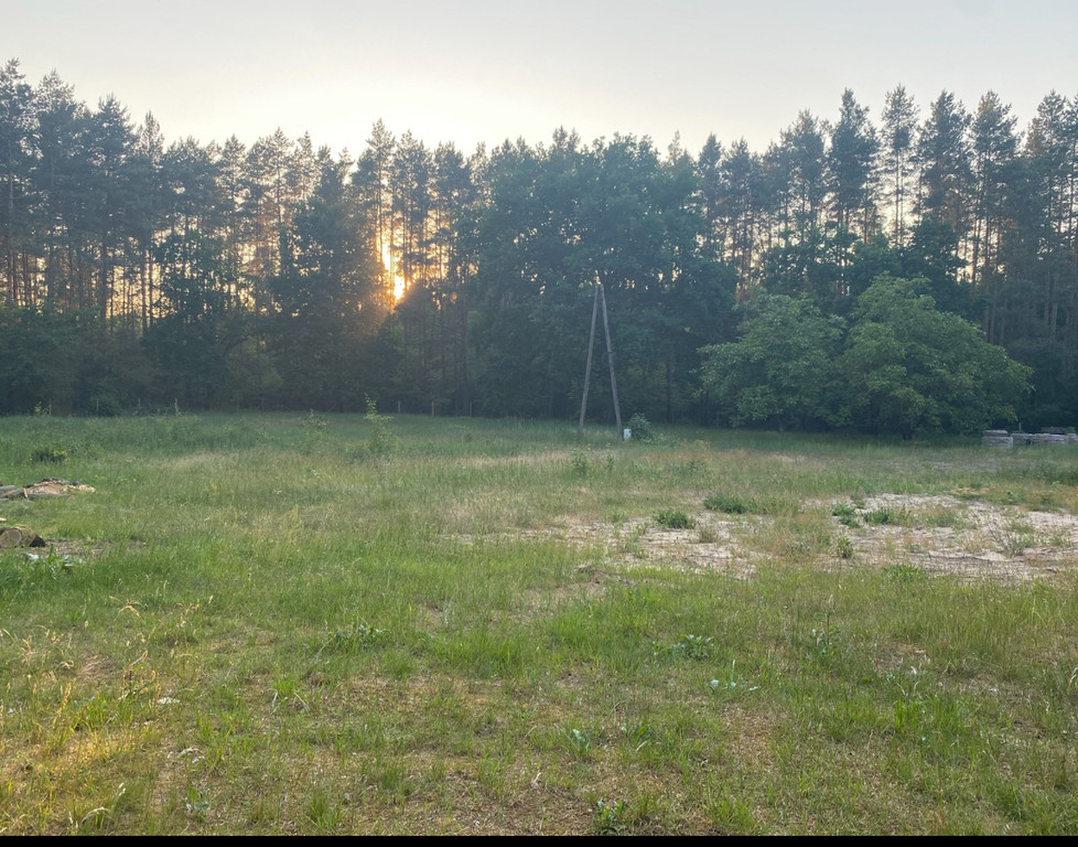 Działka Sprzedaż Trzebież
