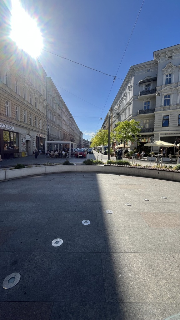 Lokal Wynajem Szczecin Centrum 15