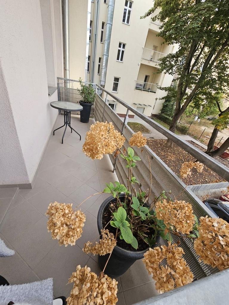 Mieszkanie Sprzedaż Szczecin Śródmieście-Centrum Księcia Bogusława X