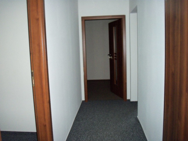 Lokal Wynajem Szczecin Centrum 21