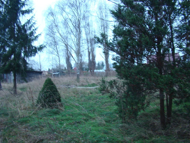 Działka Sprzedaż Pniewo 6